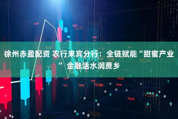 徐州赤盈配资 农行来宾分行：全链赋能“甜蜜产业” 金融活水润蔗乡