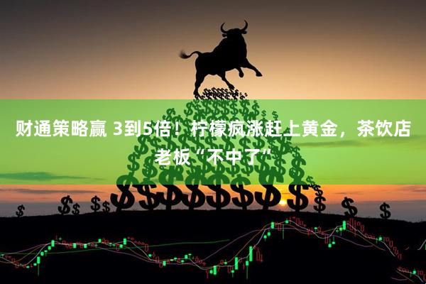 财通策略赢 3到5倍！柠檬疯涨赶上黄金，茶饮店老板“不中了”